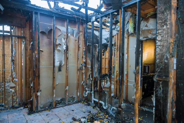 Professional Fire Damage Assessment technician working in Rialto, CA